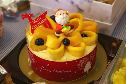 IMG_0921 (Large)