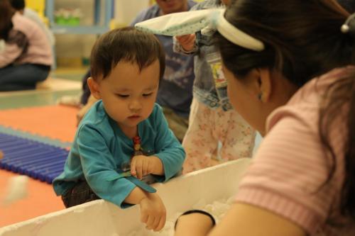 IMG 1517 (Large)
