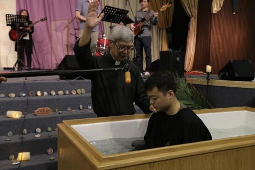 IMG 3135 (Large)