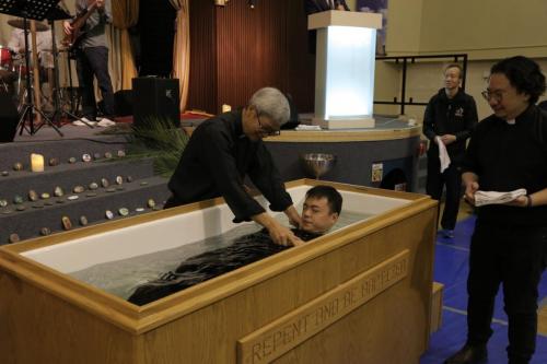 IMG 3141 (Large)