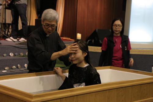 IMG 3162 (Large)