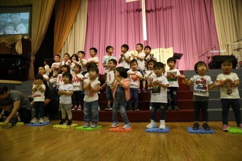 IMG 3906 (Large)