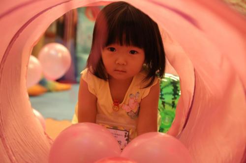 IMG 4833 (Large)