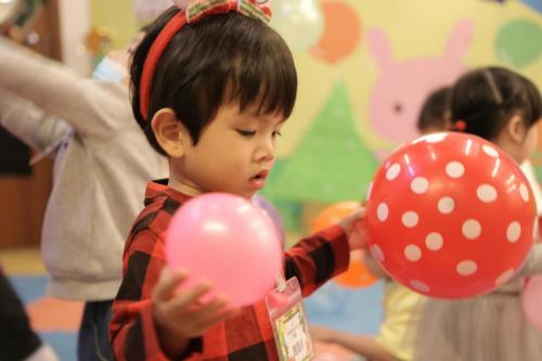 IMG 8915 (Large)