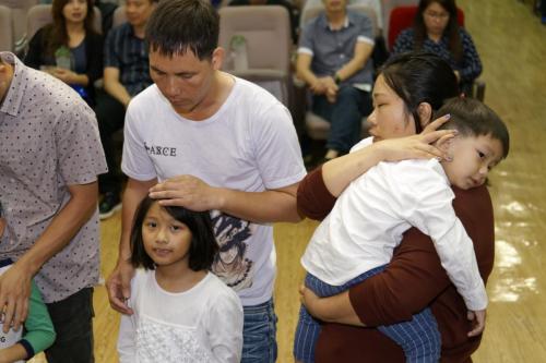  99T3364 DxO (Large)