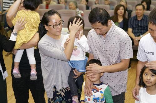  99T3365 DxO (Large)