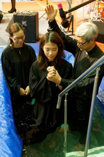  99T3383 DxO (Large)